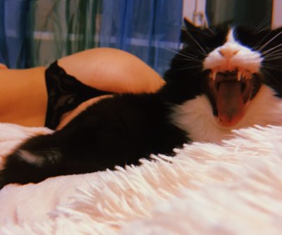JuliaCollins naked stripping on cam for live sex video chat
