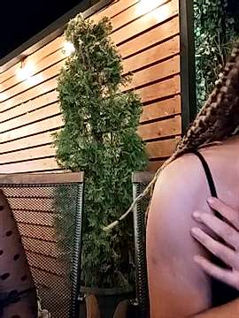 AnasstasiaBrown naked stripping on cam for live sex video chat