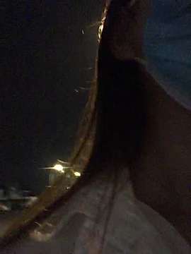 Lili-sun naked stripping on cam for live sex video chat