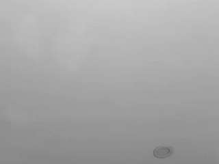 Zoemuller nude Live Sex Chat Room